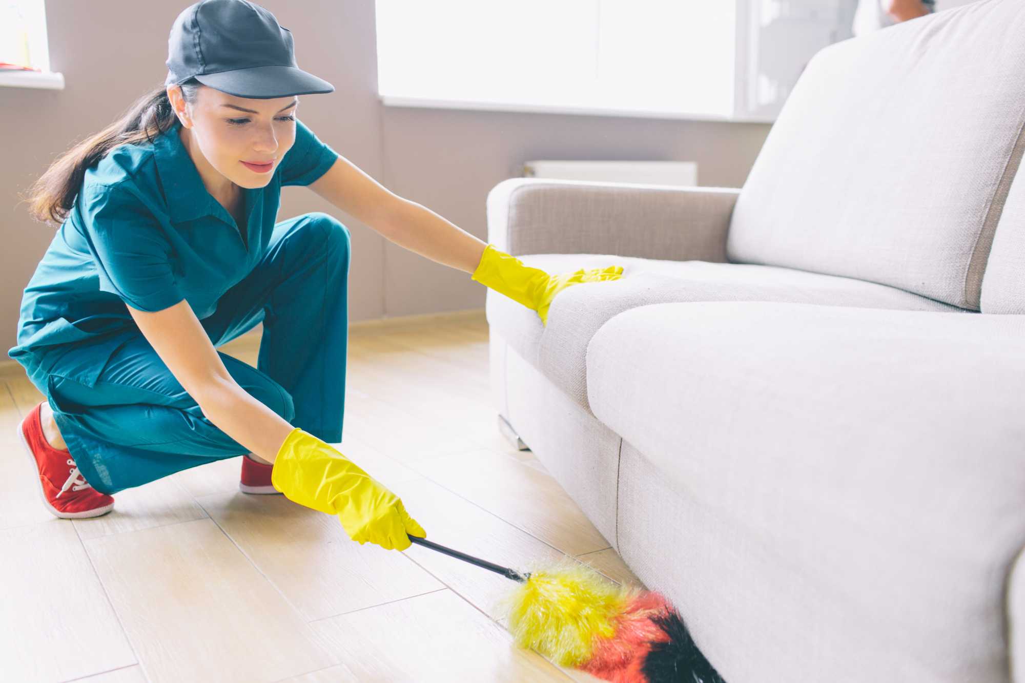 domestic Cleaning